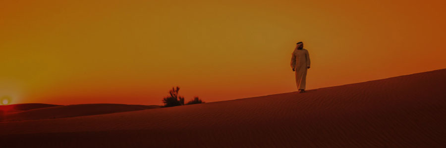 Leadership & Development